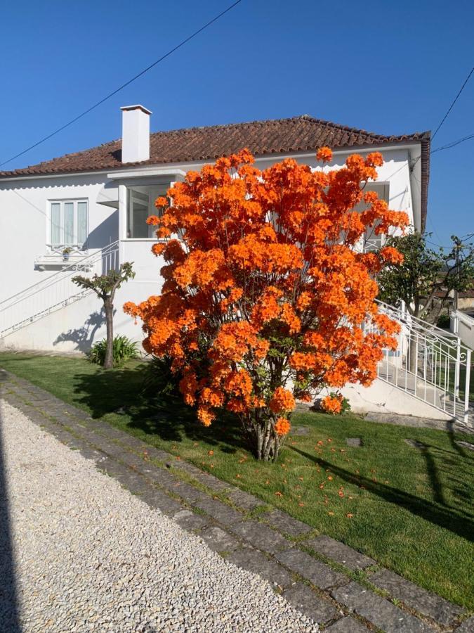 Casa Das Uveiras ปาโซส เด เฟเฮรา ภายนอก รูปภาพ